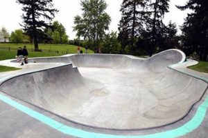 Bellevue Skate Park: Your Guide + Nearby Spots Learn to Surf & Skate: A Beginner's Step-by-Step Guide Bellevue Skate Park: Your Guide + Nearby Spots | Learn to Surf & Skate: A Beginner's Step-by-Step Guide