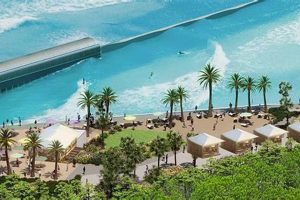 Live Jax Surf Cam View: Jacksonville Beach Conditions Now | Learn to Surf & Skate: A Beginner's Step-by-Step Guide