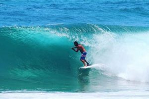 Palm Beach Surf Conditions: Your Water Activity Guide | Learn to Surf & Skate: A Beginner's Step-by-Step Guide
