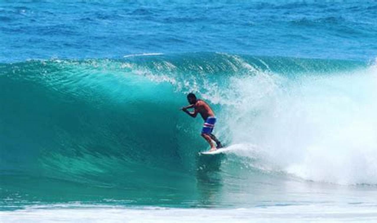 Palm Beach Surf Conditions: Your Water Activity Guide | Learn to Surf & Skate: A Beginner's Step-by-Step Guide