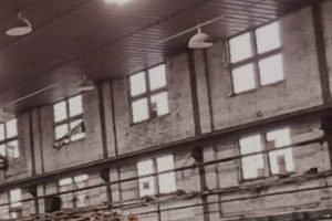 Milwaukee Skate Shop: Gear & Grind | Local | Learn to Surf & Skate: A Beginner's Step-by-Step Guide