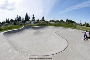 Tacoma Skate Parks: Your Guide to Riding Spots | Learn to Surf & Skate: A Beginner's Step-by-Step Guide
