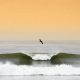 Your Trestles Surf Report: California Waves Now! | Learn to Surf & Skate: A Beginner's Step-by-Step Guide