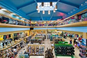 Your Ron Jon Surf Shop Cocoa Beach, FL Guide + More! | Learn to Surf & Skate: A Beginner's Step-by-Step Guide