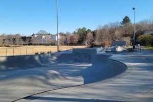 Explore Historic Fourth Ward Skate Park: Atlanta's Best! | Learn to Surf & Skate: A Beginner's Step-by-Step Guide