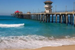 Surf City Nissan Huntington Beach: Deals & Service Near You! | Learn to Surf & Skate: A Beginner's Step-by-Step Guide