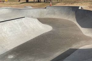Explore: Fountain Skate Park Paradise + Tips | Learn to Surf & Skate: A Beginner's Step-by-Step Guide
