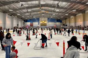 Oahu Ice Skating: Cool Fun in Paradise (Guide) | Learn to Surf & Skate: A Beginner's Step-by-Step Guide
