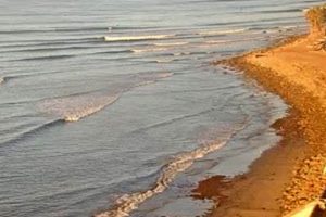 Ventura Surf Cam: Local Waves + Coastal Views | Learn to Surf & Skate: A Beginner's Step-by-Step Guide