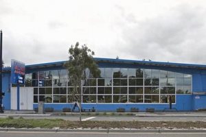 Elevate Your Ride: Highland Skate Shop Gear & More! | Learn to Surf & Skate: A Beginner's Step-by-Step Guide