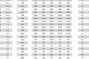 Youth Ice Skate Size Chart Guide: Find the Perfect Fit! | Learn to Surf & Skate: A Beginner's Step-by-Step Guide