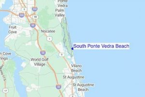 Your Ponte Vedra Beach Surf Report: Waves & Tides Now | Learn to Surf & Skate: A Beginner's Step-by-Step Guide