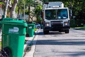 Your Miami Dade Surf Report: Waves & Weather Now | Learn to Surf & Skate: A Beginner's Step-by-Step Guide