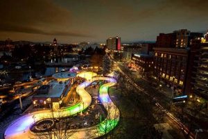 Skate Ribbon Style: Ice Skate Ribbon Elegance! | Learn to Surf & Skate: A Beginner's Step-by-Step Guide