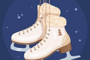 Digital Animated Ice Skates: Models &amp; Tips | Learn to Surf & Skate: A Beginner's Step-by-Step Guide