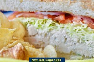 Best New York Deli in Surf City NC: Sandwiches & More! | Learn to Surf & Skate: A Beginner's Step-by-Step Guide