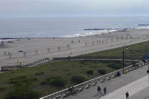 LBI Surf Report: Long Beach Island Waves Now! | Learn to Surf & Skate: A Beginner's Step-by-Step Guide
