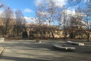 The Ultimate Brower Skate Park: Guide, Tips & More! | Learn to Surf & Skate: A Beginner's Step-by-Step Guide