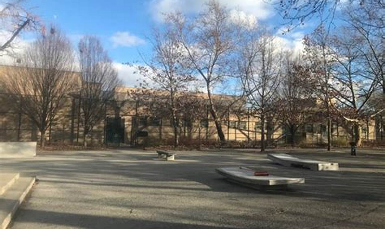 The Ultimate Brower Skate Park: Guide, Tips & More! Learn to Surf & Skate: A Beginner's Step-by-Step Guide The Ultimate Brower Skate Park: Guide, Tips & More! | Learn to Surf & Skate: A Beginner's Step-by-Step Guide