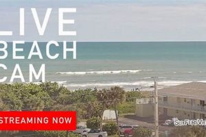 Fl Surf Cam | Learn to Surf & Skate: A Beginner's Step-by-Step Guide