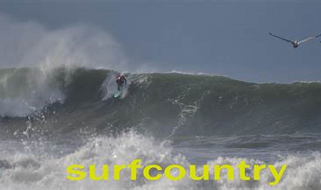 Jacksonville Beach Surf Report: 911 Emergency? | Learn to Surf & Skate: A Beginner's Step-by-Step Guide