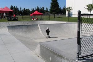 Santa Clara Skate Park Guide: Ramps, Safety & More! | Learn to Surf & Skate: A Beginner's Step-by-Step Guide