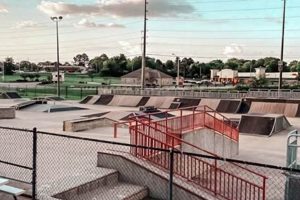 Visit Insanity Skate Park Madison - Skateboarding Fun! | Learn to Surf & Skate: A Beginner's Step-by-Step Guide