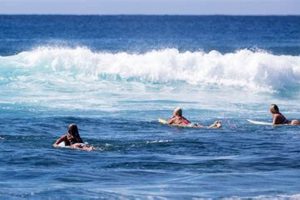Your Surf Report Poipu Guide: Conditions & More! | Learn to Surf & Skate: A Beginner's Step-by-Step Guide