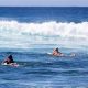 Your Surf Report Poipu Guide: Conditions & More! | Learn to Surf & Skate: A Beginner's Step-by-Step Guide
