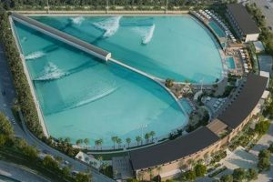 Explore: Harbor Surf Seal Beach Paradise Guide | Learn to Surf & Skate: A Beginner's Step-by-Step Guide