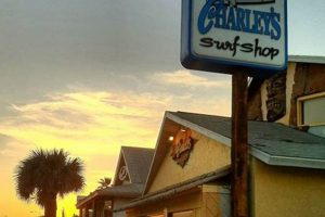 Your New Smyrna Surf Shop: Gear Up & Catch Waves! | Learn to Surf & Skate: A Beginner's Step-by-Step Guide