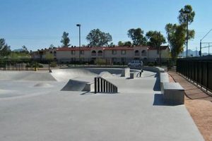 Best Skate Parks in Phoenix, AZ: Your Ultimate Guide | Learn to Surf & Skate: A Beginner's Step-by-Step Guide