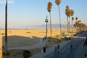 Venice Surf Cam: See Live Venice Beach Waves Now! | Learn to Surf & Skate: A Beginner's Step-by-Step Guide