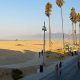 Venice Surf Cam: See Live Venice Beach Waves Now! | Learn to Surf & Skate: A Beginner's Step-by-Step Guide