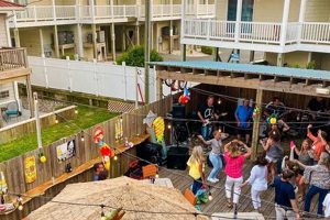 Your Surf City Line: Gear & Culture | Learn to Surf & Skate: A Beginner's Step-by-Step Guide