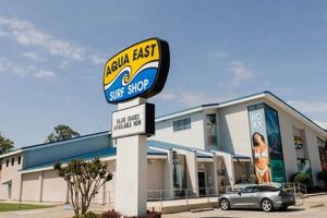 Your Guide: Aqua East Surf Shop Gear & Tips | Learn to Surf & Skate: A Beginner's Step-by-Step Guide