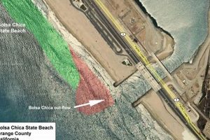 Your Guide: Bolsa Chica Beach Surf Report - Conditions Now! | Learn to Surf & Skate: A Beginner's Step-by-Step Guide