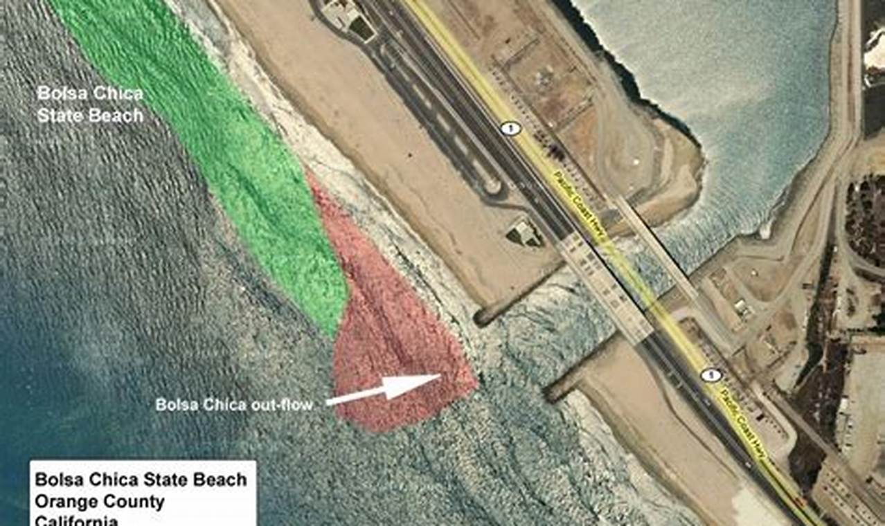 Your Guide: Bolsa Chica Beach Surf Report - Conditions Now! | Learn to Surf & Skate: A Beginner's Step-by-Step Guide