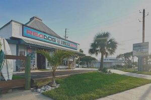 Red Dog Surf Shop: New Smyrna Beach's Best Gear & Lessons | Learn to Surf & Skate: A Beginner's Step-by-Step Guide