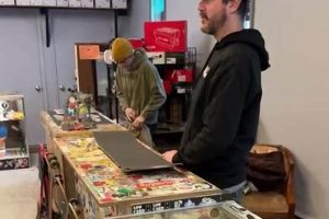 Best Local Skate Shops in Rochester, NY: Gear & More! | Learn to Surf & Skate: A Beginner's Step-by-Step Guide