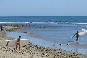 San Onofre Surfing Beach: Your Guide + Tips | Learn to Surf & Skate: A Beginner's Step-by-Step Guide