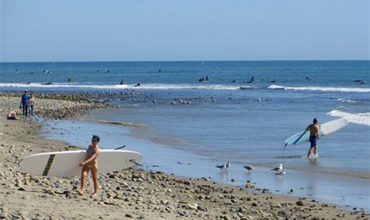 San Onofre Surfing Beach: Your Guide + Tips | Learn to Surf & Skate: A Beginner's Step-by-Step Guide