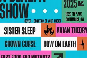 Cuckoo's Nest Skate Shop: Gear Up & Ride! | Learn to Surf & Skate: A Beginner's Step-by-Step Guide