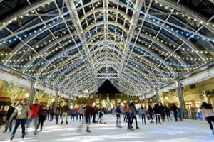 Reston Town Center Ice Skate: Fun on Ice! | Learn to Surf & Skate: A Beginner's Step-by-Step Guide