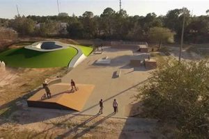Your Guide to Skate Park Fort Walton Beach Fun | Learn to Surf & Skate: A Beginner's Step-by-Step Guide