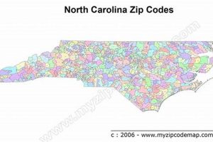 Surf City, NC: Finding the Right Zip Code + Delivery Tips | Learn to Surf & Skate: A Beginner's Step-by-Step Guide