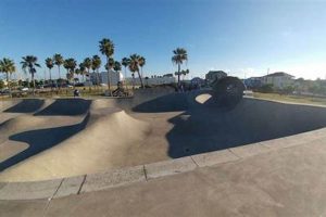 Galveston's Premier Skate Park: Ride On, Texas! Learn to Surf & Skate: A Beginner's Step-by-Step Guide Galveston's Premier Skate Park: Ride On, Texas! | Learn to Surf & Skate: A Beginner's Step-by-Step Guide