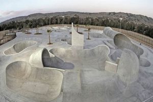 Best Skate Parks California for Thrill Seekers! Learn to Surf & Skate: A Beginner's Step-by-Step Guide Best Skate Parks California for Thrill Seekers! | Learn to Surf & Skate: A Beginner's Step-by-Step Guide