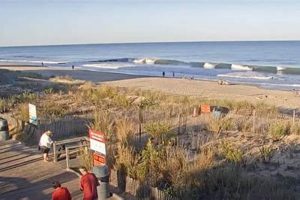 Bethany Beach Surf Cam: See Live, Check Surf &amp; Waves! | Learn to Surf & Skate: A Beginner's Step-by-Step Guide