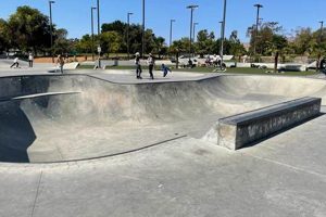 Visit Fremont Skate Park: Your Ultimate Skate Spot! | Learn to Surf & Skate: A Beginner's Step-by-Step Guide